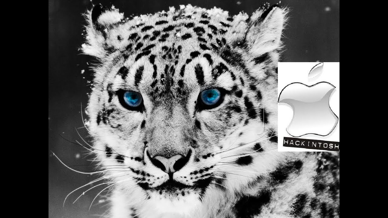 Mac os x 10.6 snow leopard free download for pc 2019